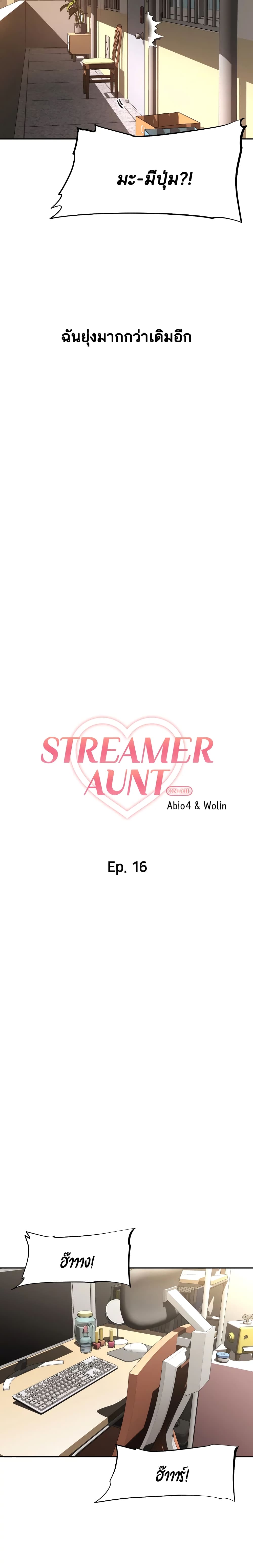 Streamer Aunt 16 05